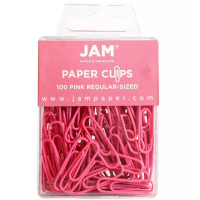 100pcs Colorful Standard Paper Clips - Regular