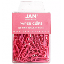 100pcs Colorful Standard Paper Clips - Regular